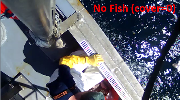 Example of image with no fish.