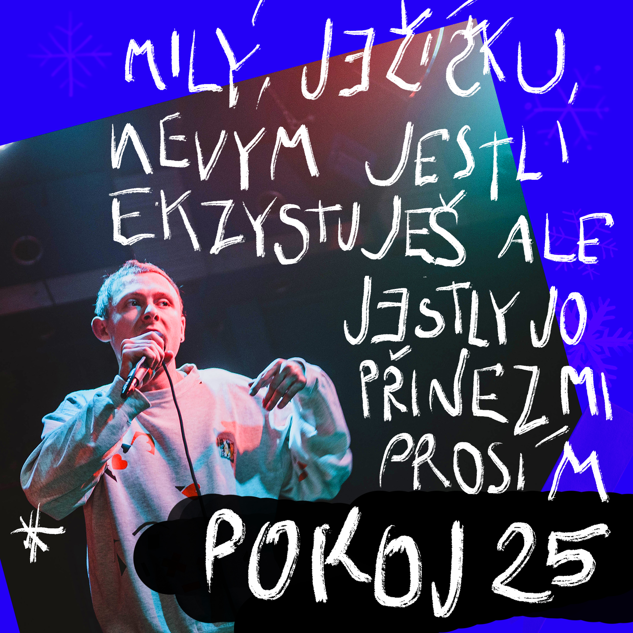 DeziKoleda-pokoj25