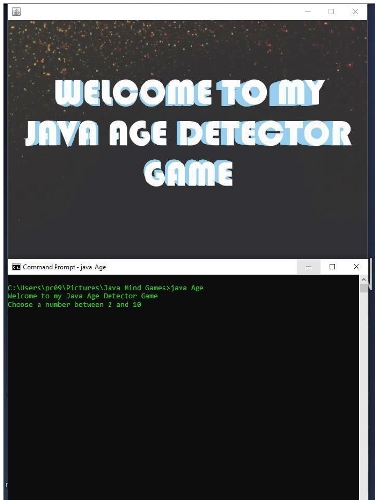 GitHub - nonsogospel/Age-Detector-Game: Age Detector Input Game (Java)