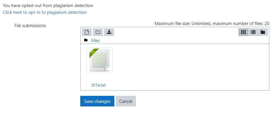 opt in for plagiarism detection