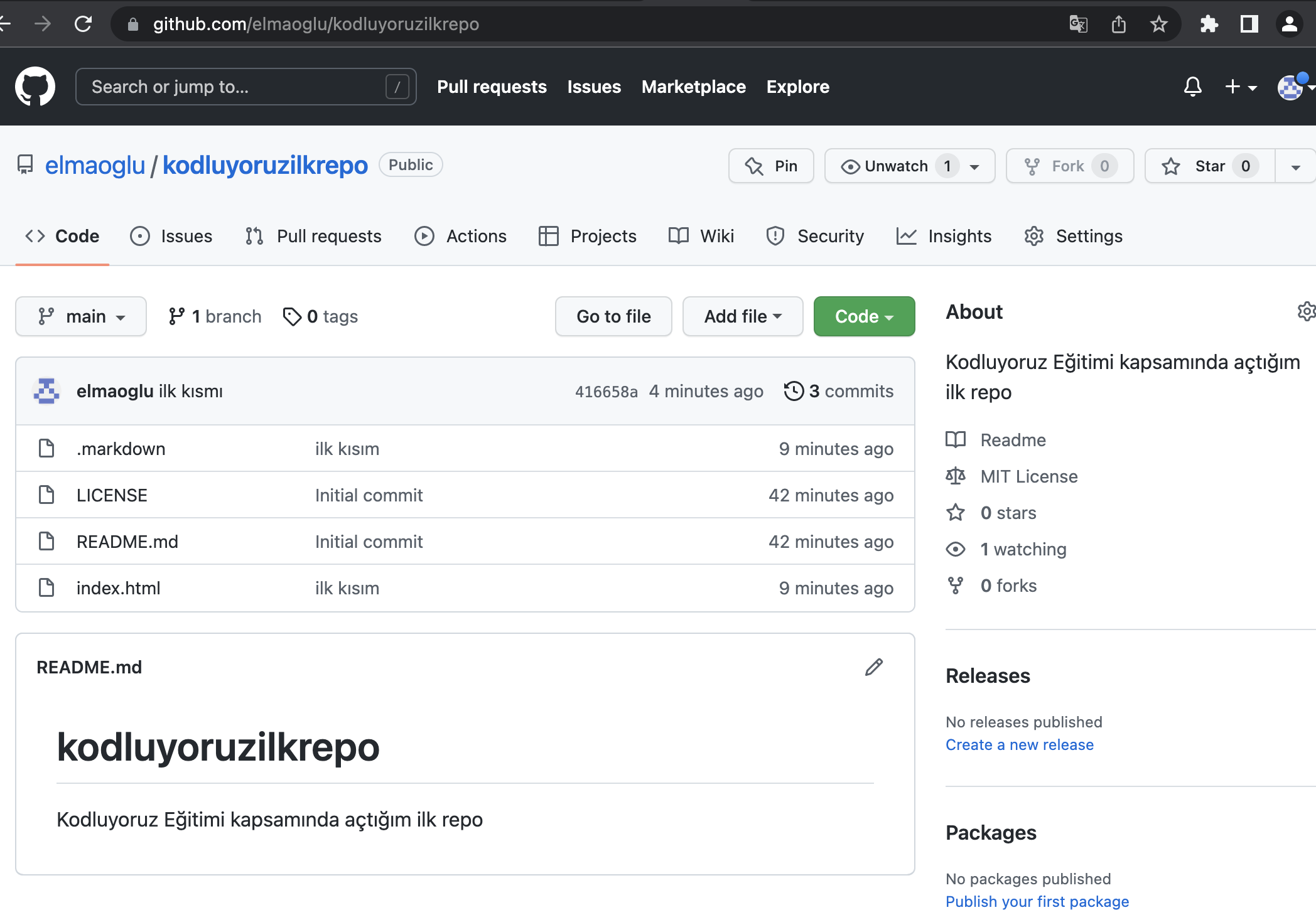 GitHub - elmaoglu/kodluyoruzilkrepo: Kodluyoruz Eğitimi kapsamında ...