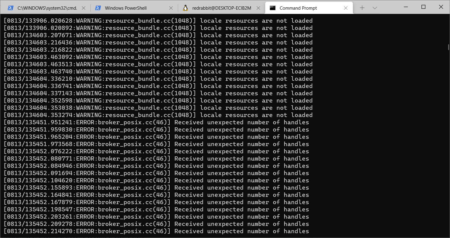 headless-shell error screenshot