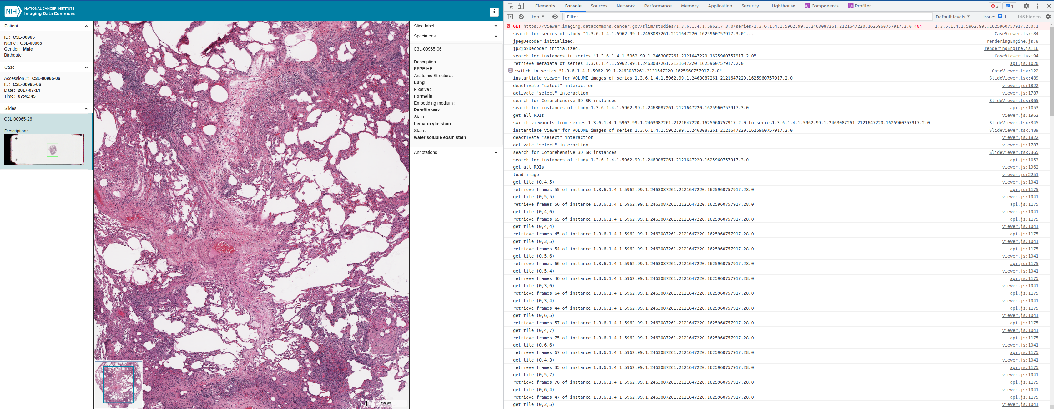 In Production Tier, On the Home page, When a user selects SM viewer ...