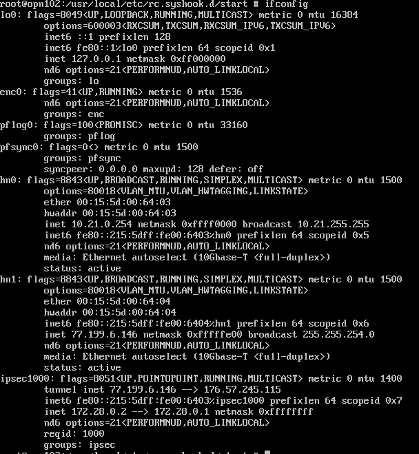 ifconfig after