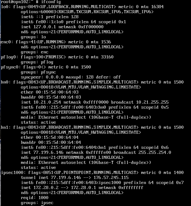 ifconfig before