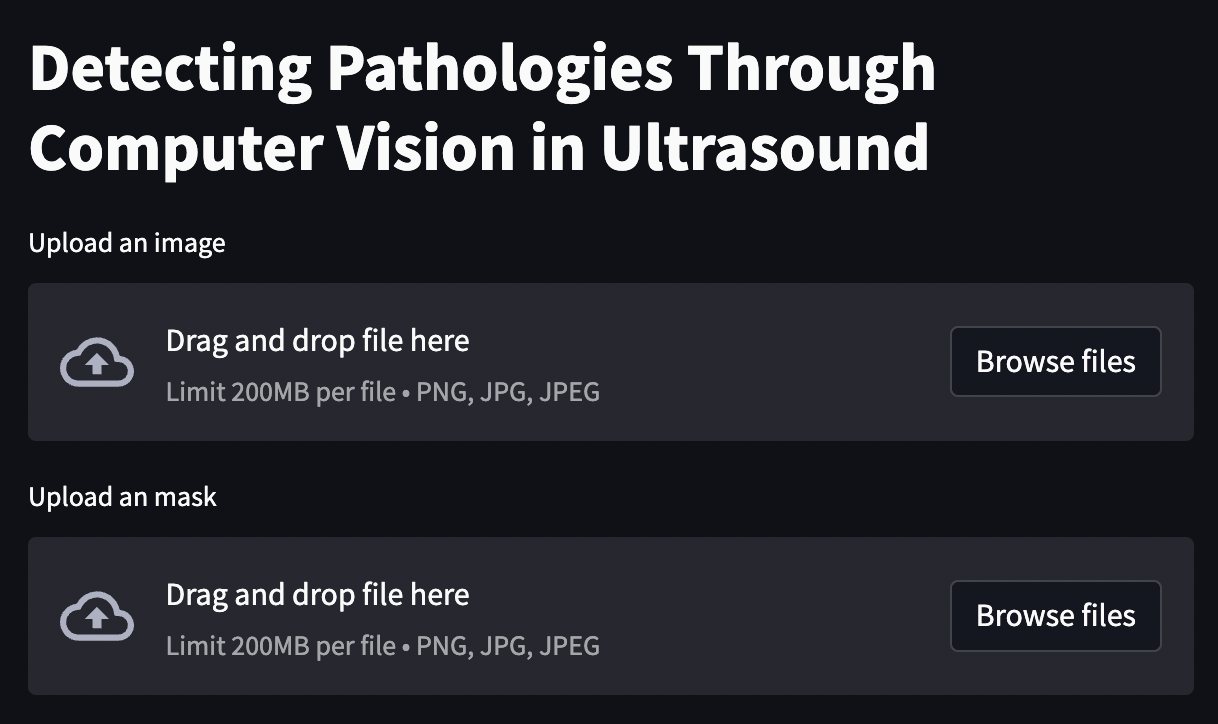 GitHub - LujainSaad/Detecting-Pathologies-Through-Computer-Vision-in ...