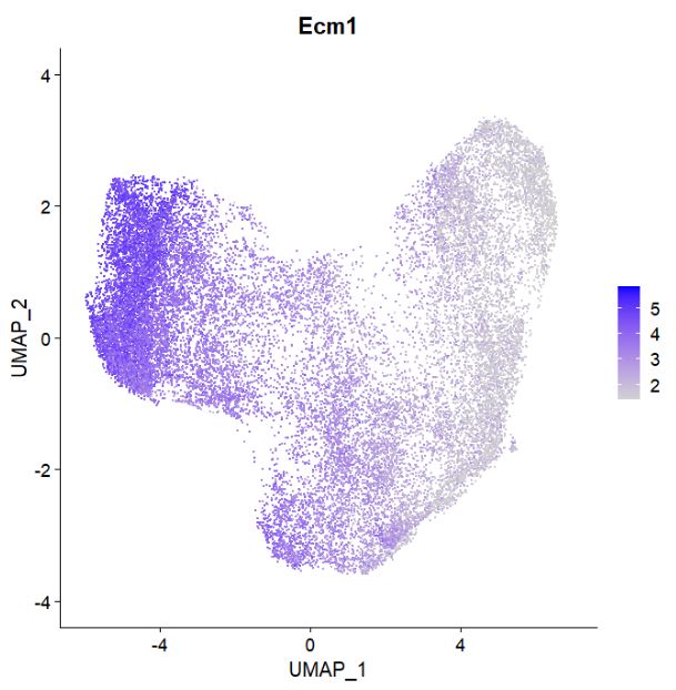 How to add color gradient guide to my featureplot issue 6139
