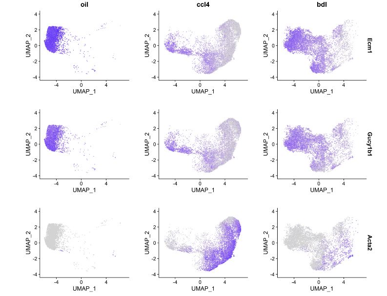 How to add color gradient guide to my featureplot issue 6139