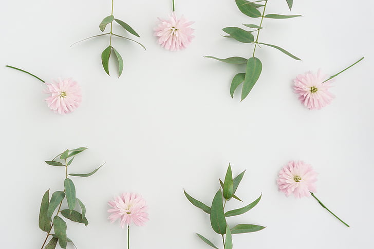 flowers-background-nature-preview