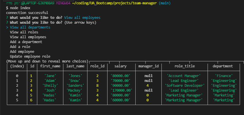 GitHub - Hadasss/team-manager