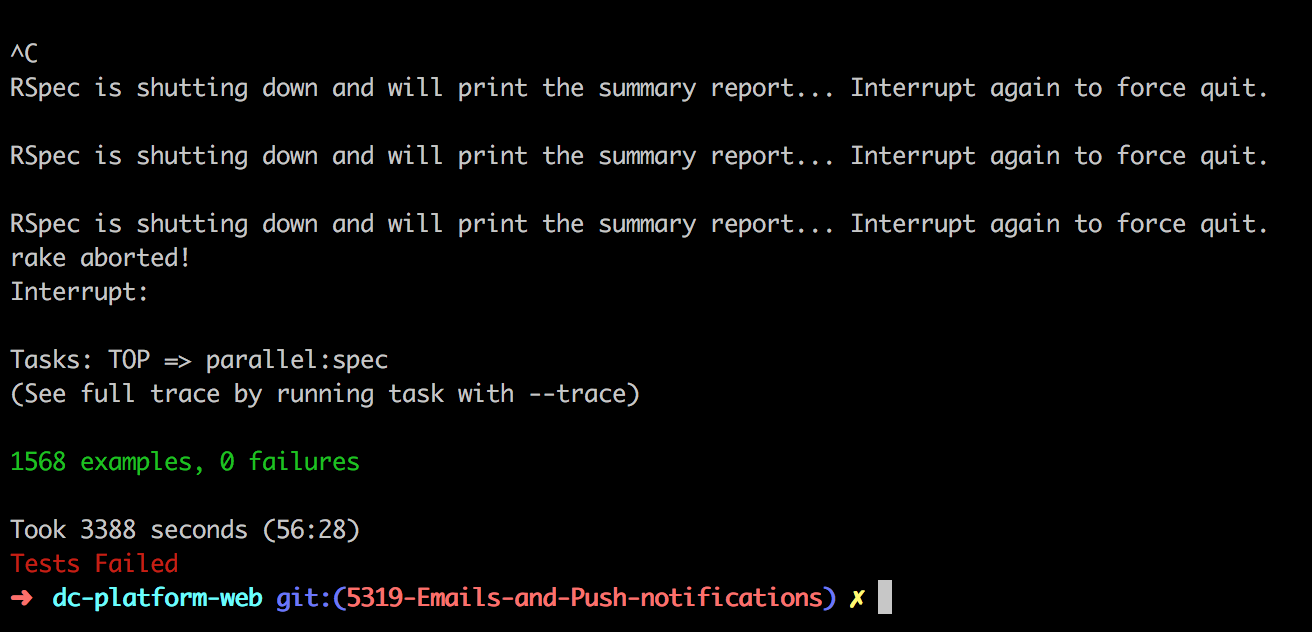Run the parallel RSPEC test and it runs forever · Issue 806 · grosser