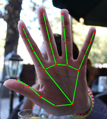 GitHub - youssefelallam/hand_detection_tracking: Hand Detection Tracking