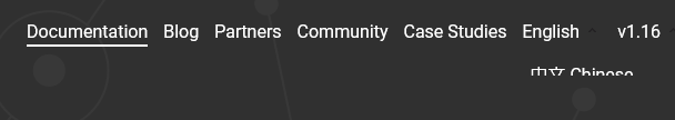 ie11