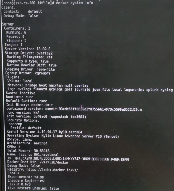runc version: N/A · Issue #3201 · docker/cli · GitHub