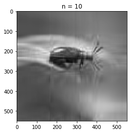 GitHub - orannahum/SVD_image_compression: Singular Value Decomposition ...