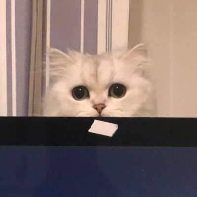 user_2