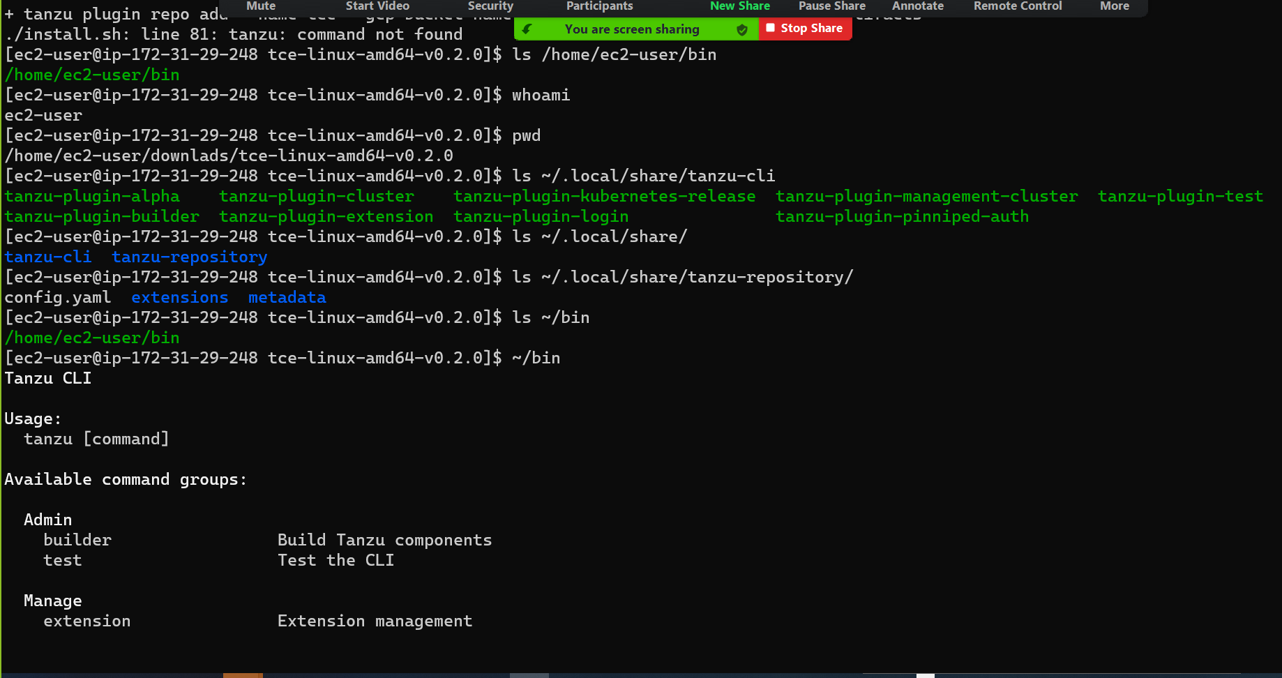 tanzu cli installation error on on Amazon EC2 linux instance · Issue ...