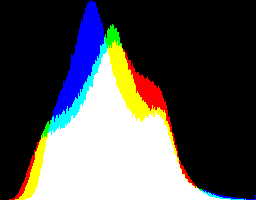Bug in histogram visualization for images of type