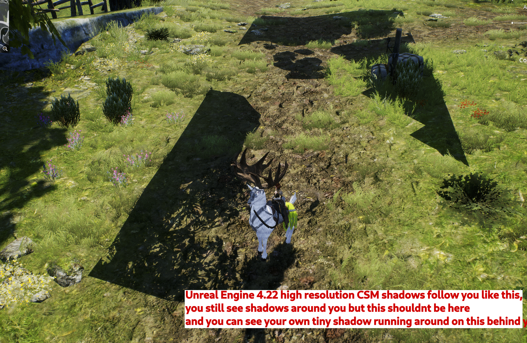 shadows