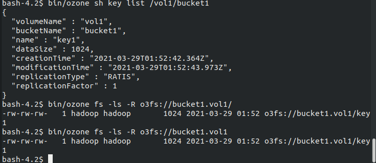 ozonefs_patch_fix_test