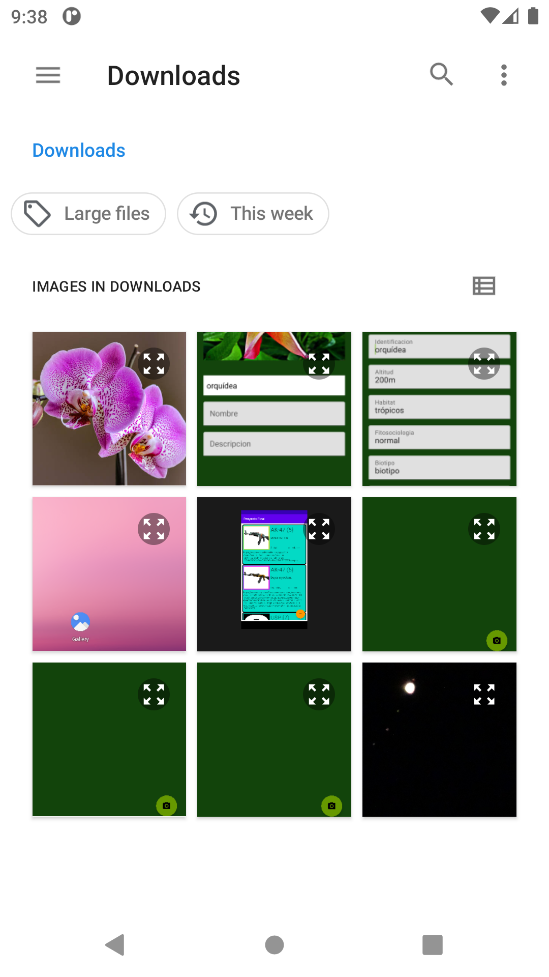 GitHub - dmoreno106/Flora-mastered · GitHub