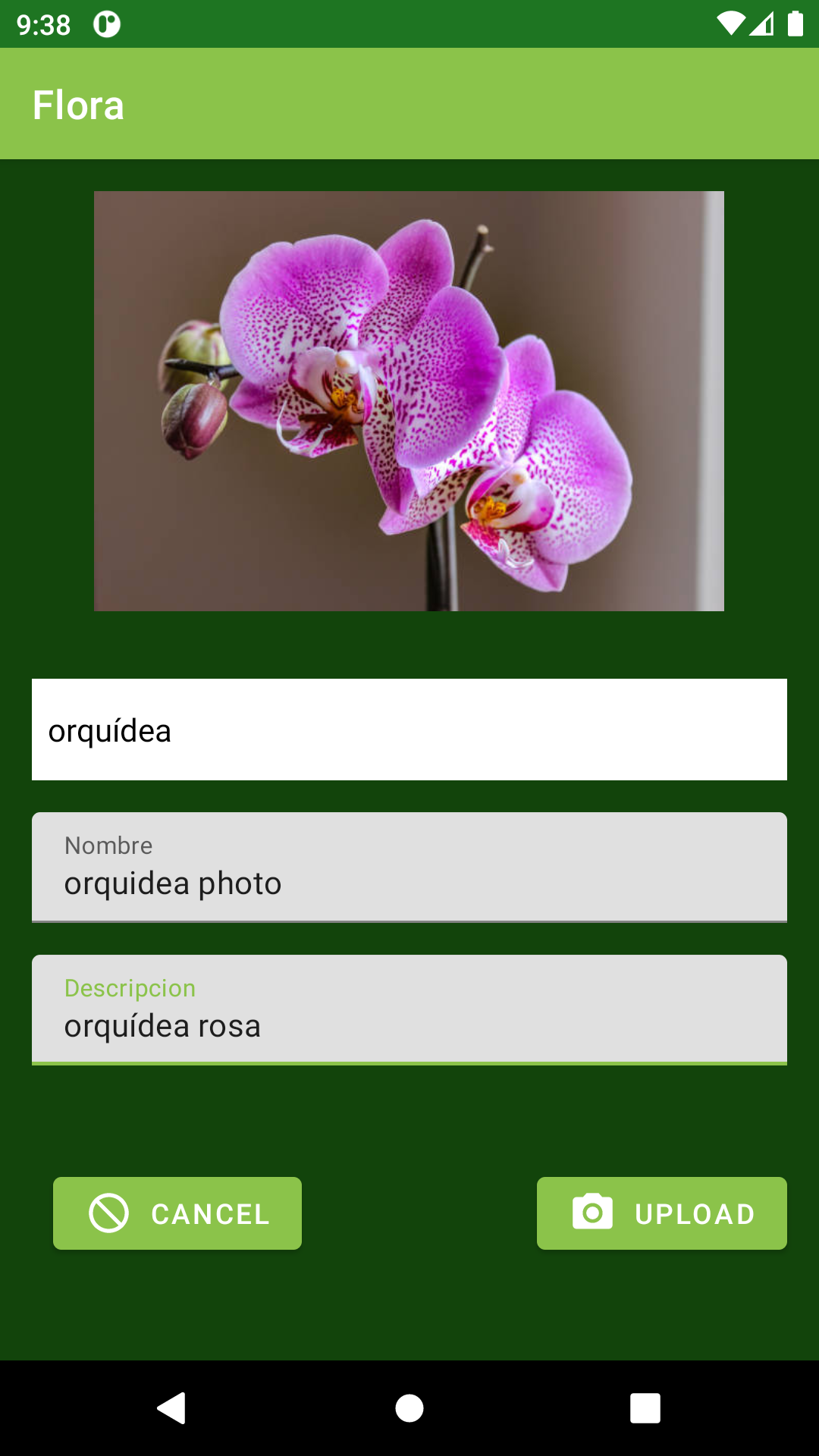 GitHub - dmoreno106/Flora-mastered · GitHub