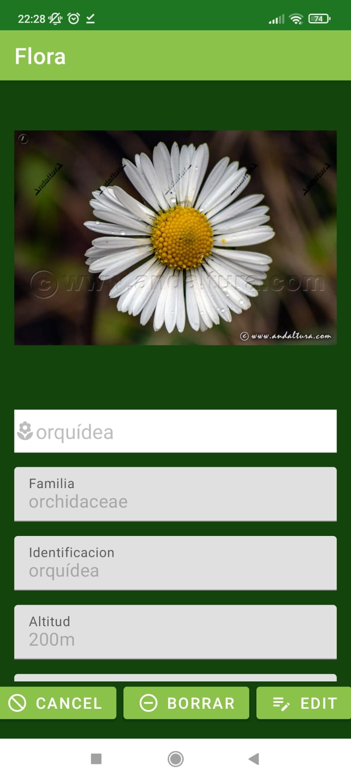 GitHub - dmoreno106/Flora-mastered