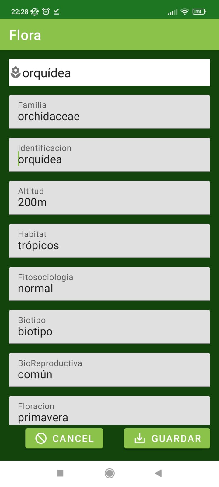 GitHub - dmoreno106/Flora-mastered · GitHub