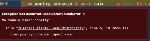 Can't debug Poetry module, getting 
