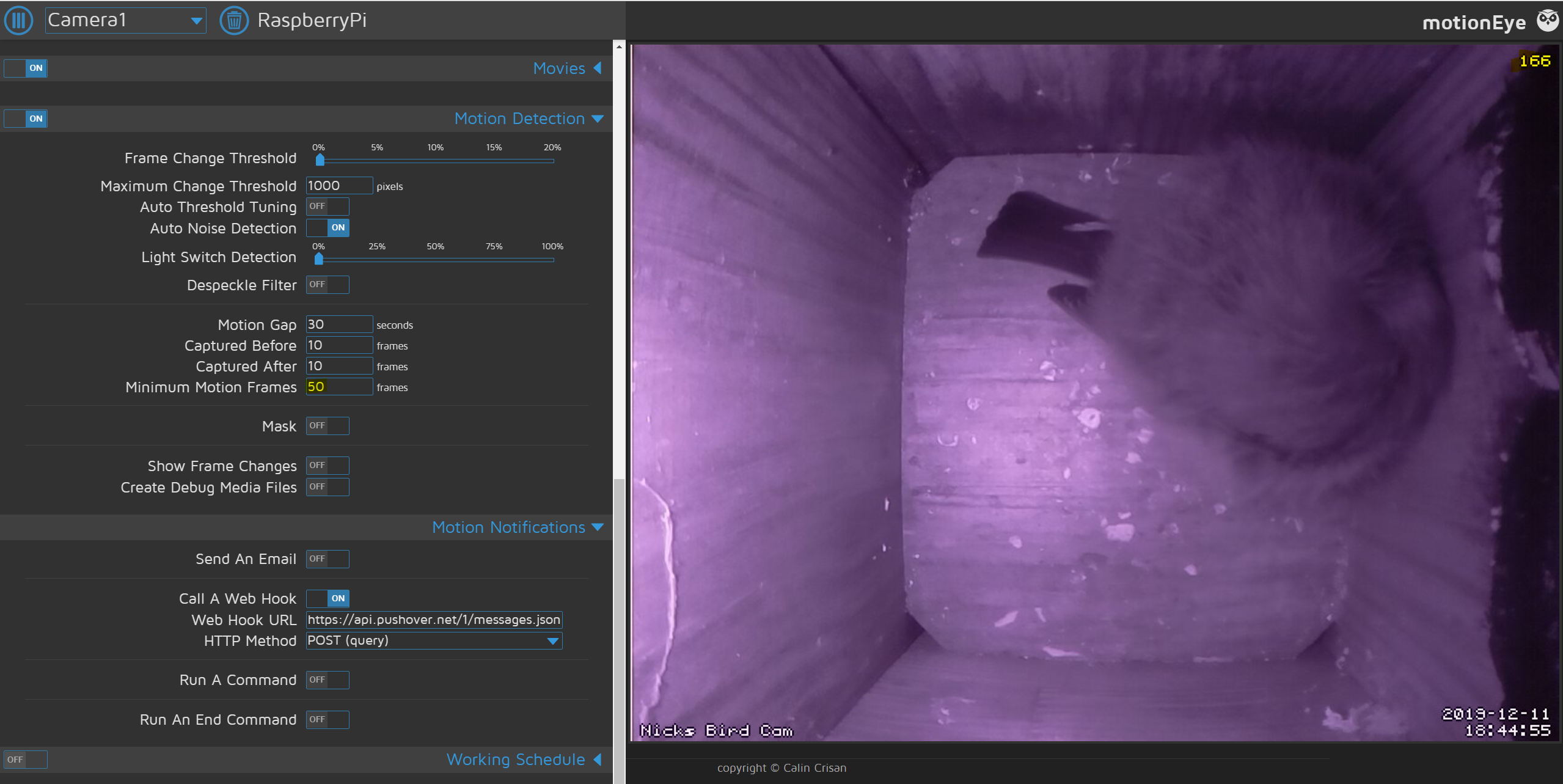 Bird box cam: No motion detected after upgrading MotionEyeOS · Issue ...
