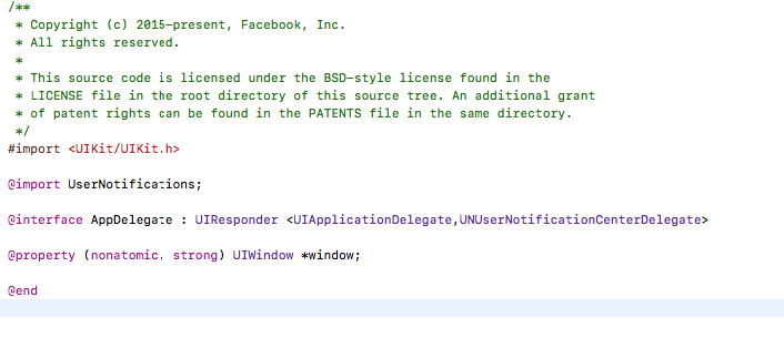 appdelegate h