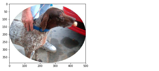 GitHub - juhan-y/Keras-CNN-Dog-or-Cat-Classification: explanation in ...