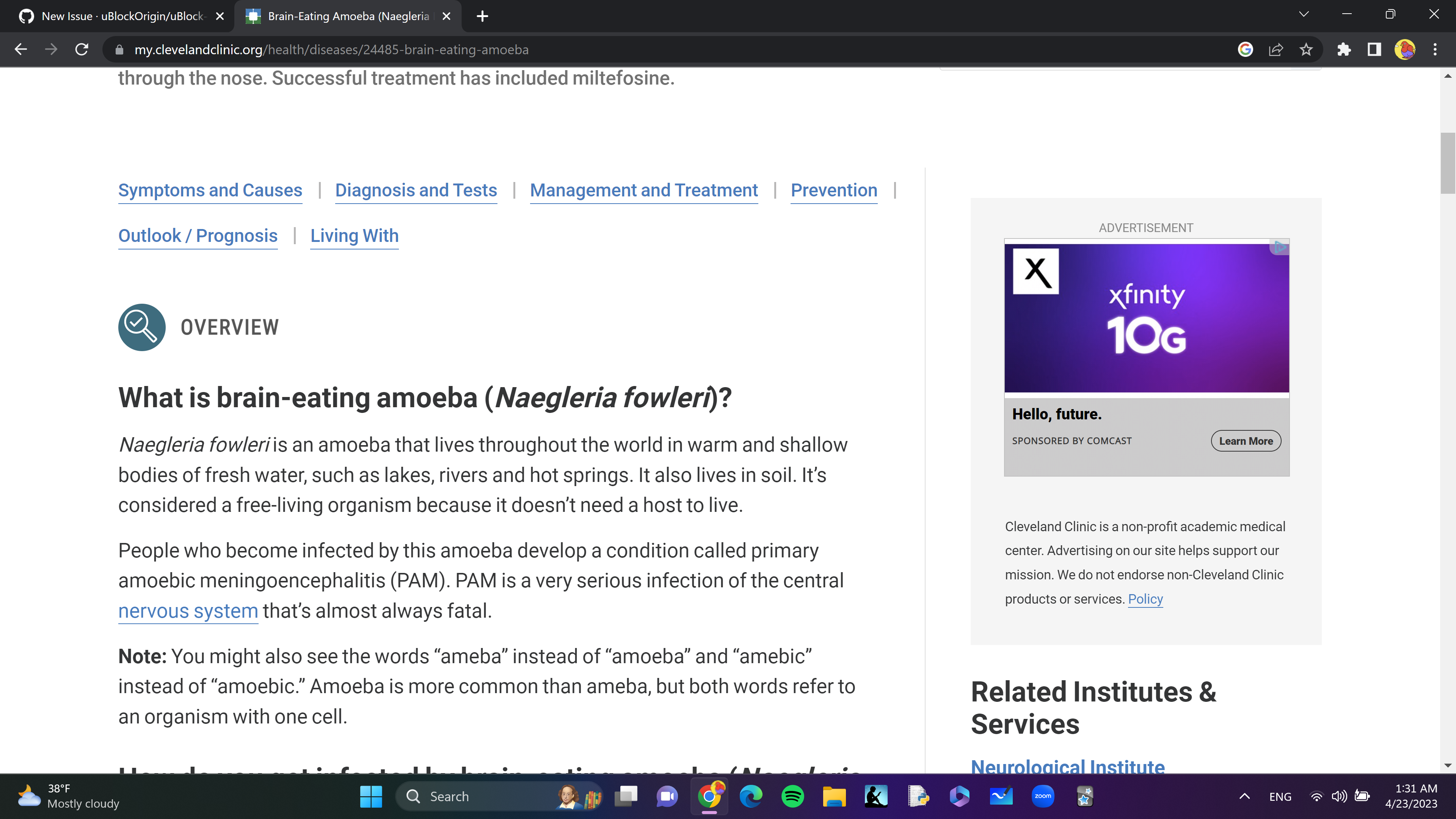 uBlock not working on any websites · Issue #2608 · uBlockOrigin/uBlock ...