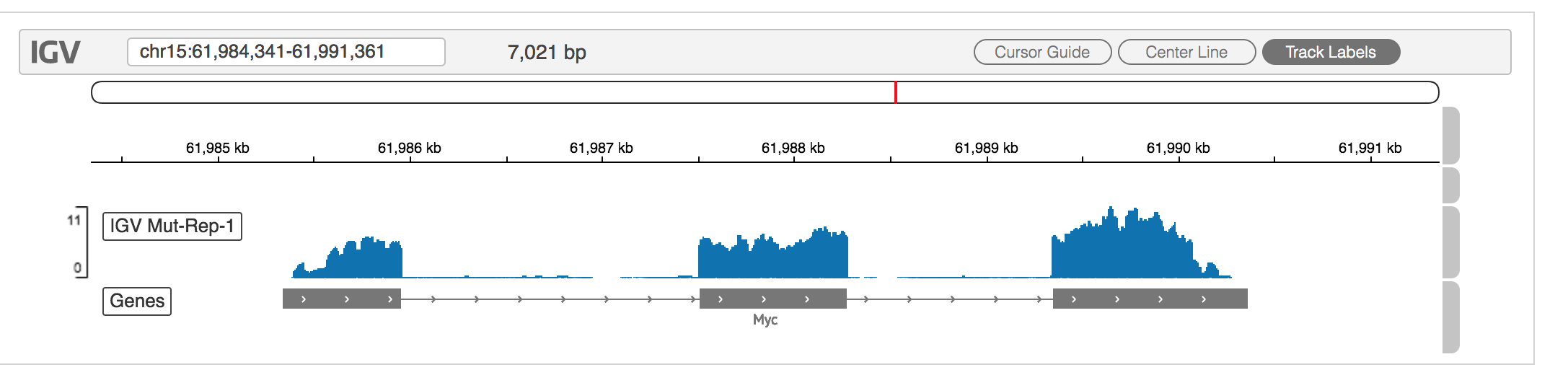 Zoom buttons and track settings not rendering in beta version · Issue ...