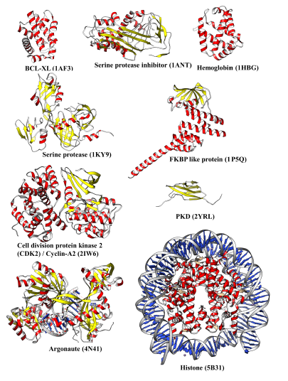 GitHub - ncnucsie/protein