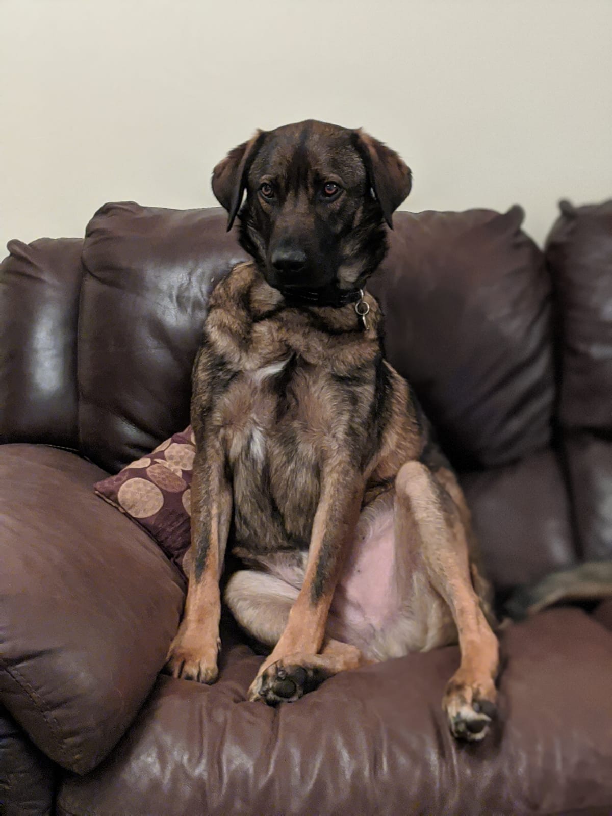 WhatsApp Image 2020-12-18 at 1 24 04 PM