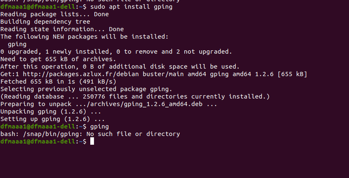 snap and apt packages don't work. · Issue #154 · orf/gping · GitHub