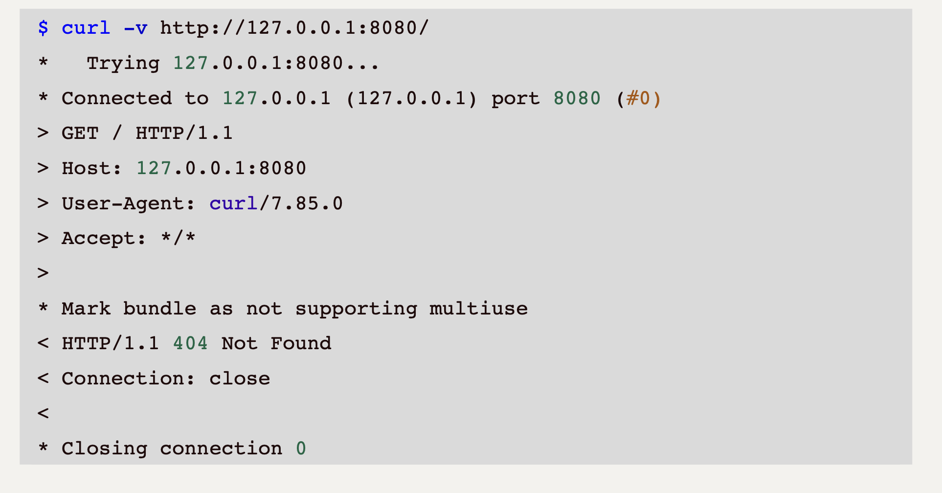 What's the exact meaning of "TODO Task1, read from socket and fill