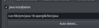 instance not launching with the custom command environment variables ...