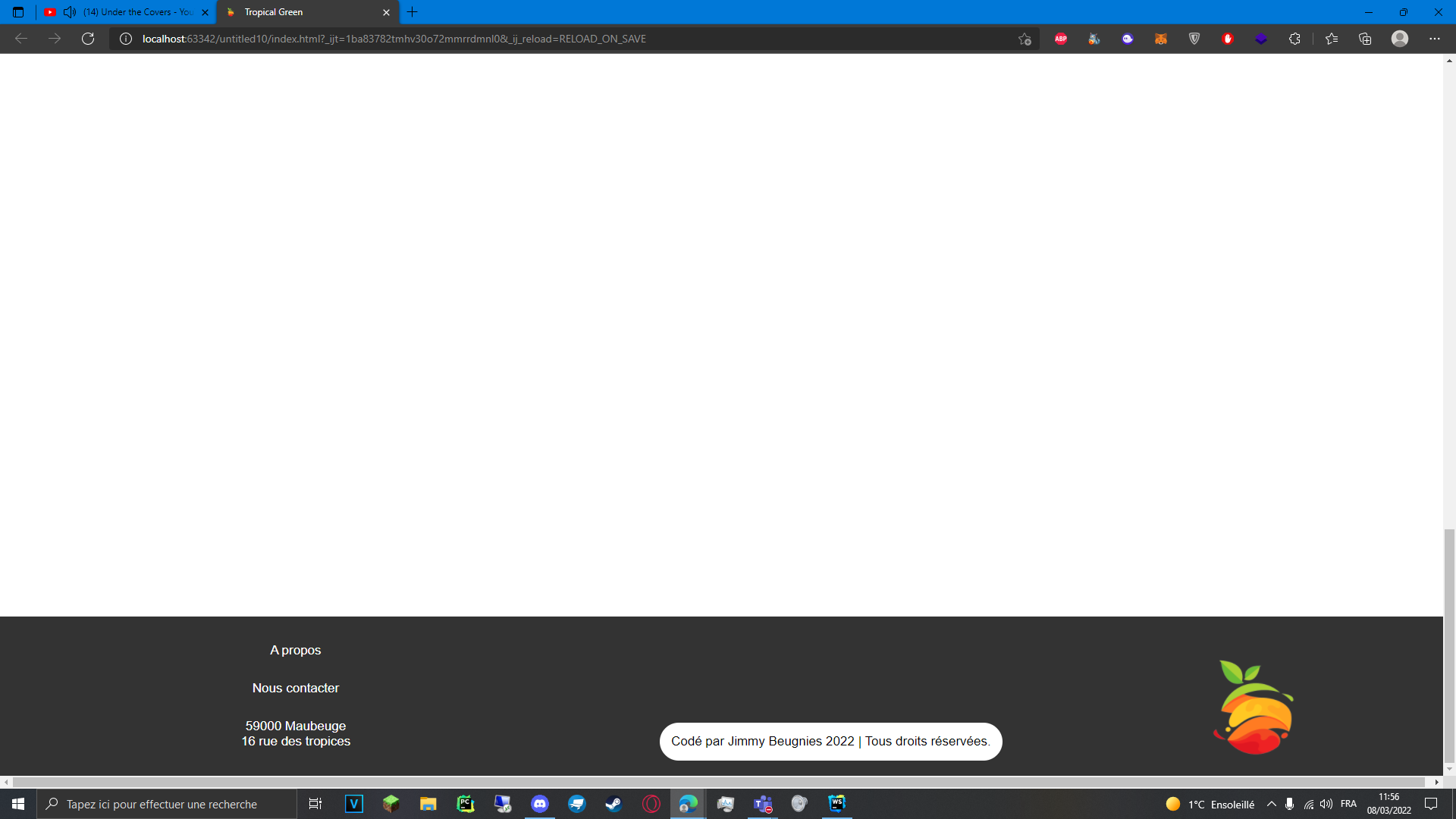 GitHub - Jimmy83300/TropicalGreen: Voici un site web que j'ai codé en ...