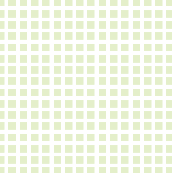 e4efca_square_10_in_16er_grid