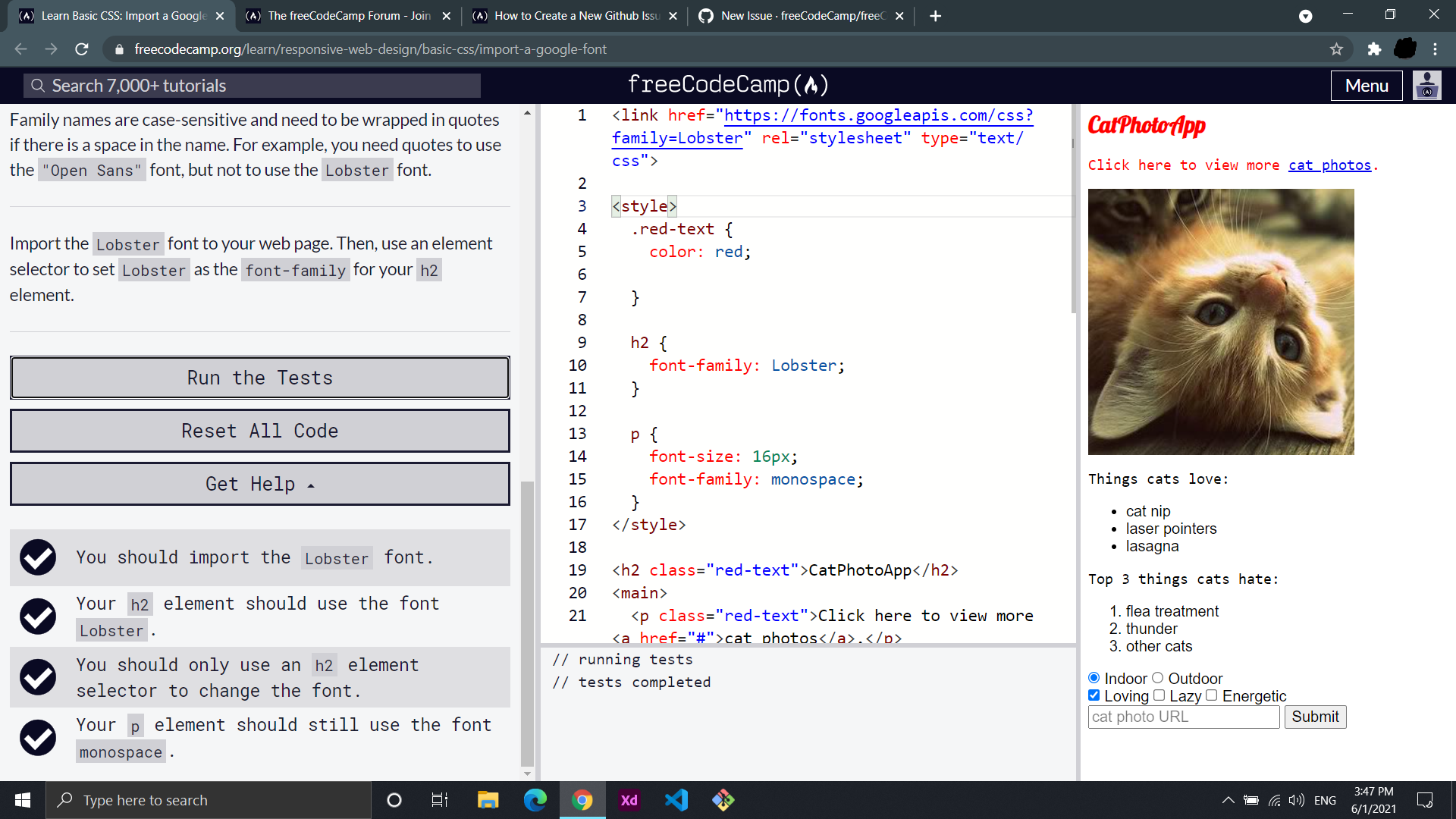 Passing the challenge while running a wrong code. · Issue #42324 ...