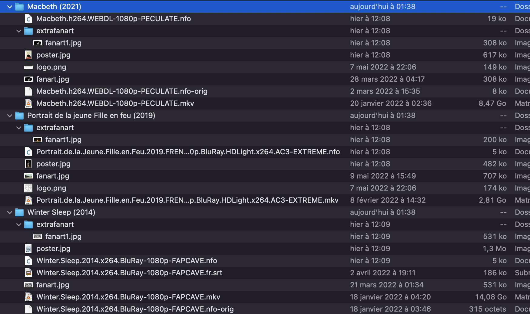 [Issue] Jellyfin now populate fanart (backdrop) in an extrafanart