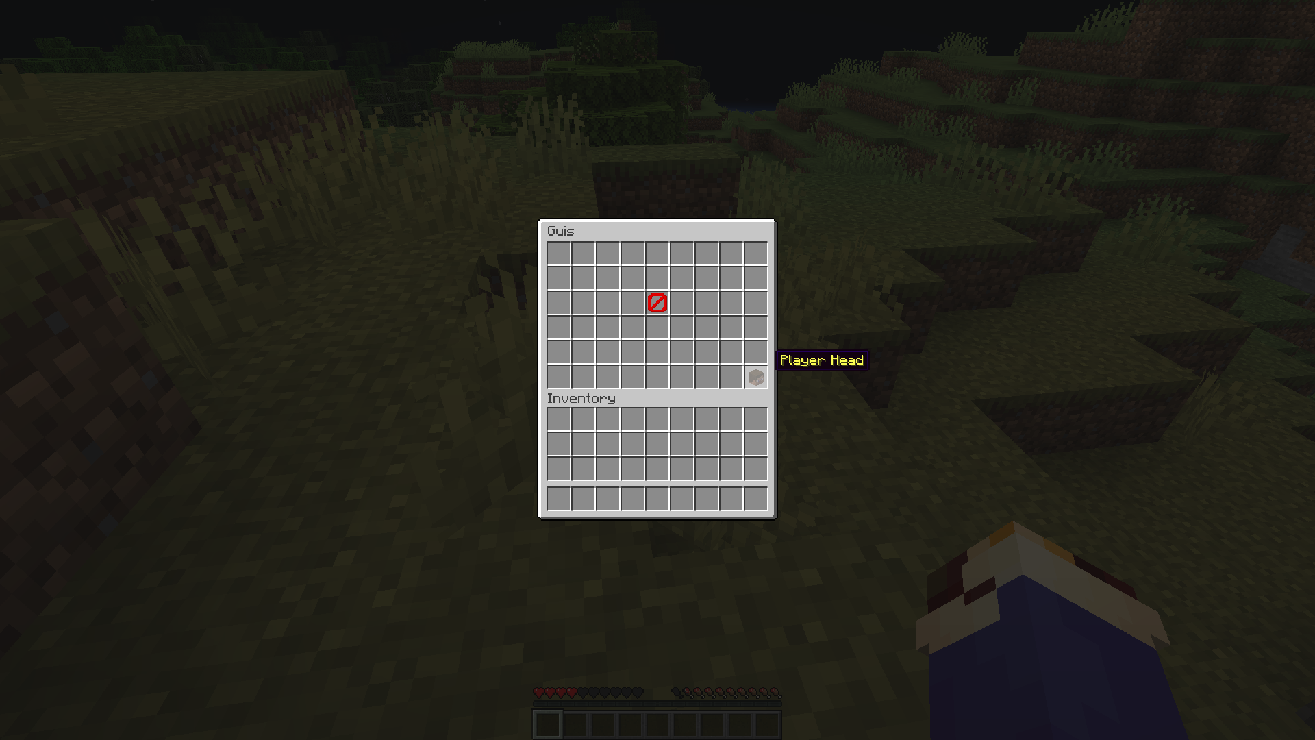 GUI 1.18.2 item and skull issues. · Issue #7689 · PaperMC/Paper · GitHub