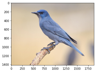 GitHub - sarahelsherif/Human-body-segmentation: Image segmentation ...