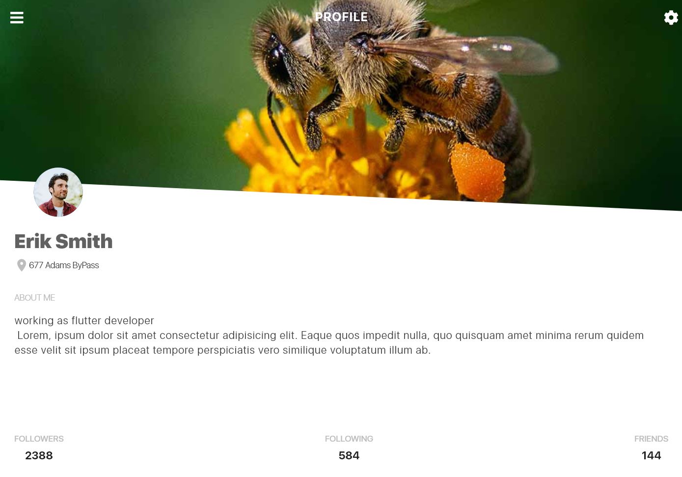 GitHub - muhamed-hasan/Flutter_UI_Demos: Ui Design demos with flutter