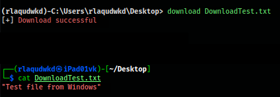 GitHub - lkim94/ReverseShell: A custom reverse shell program written in ...