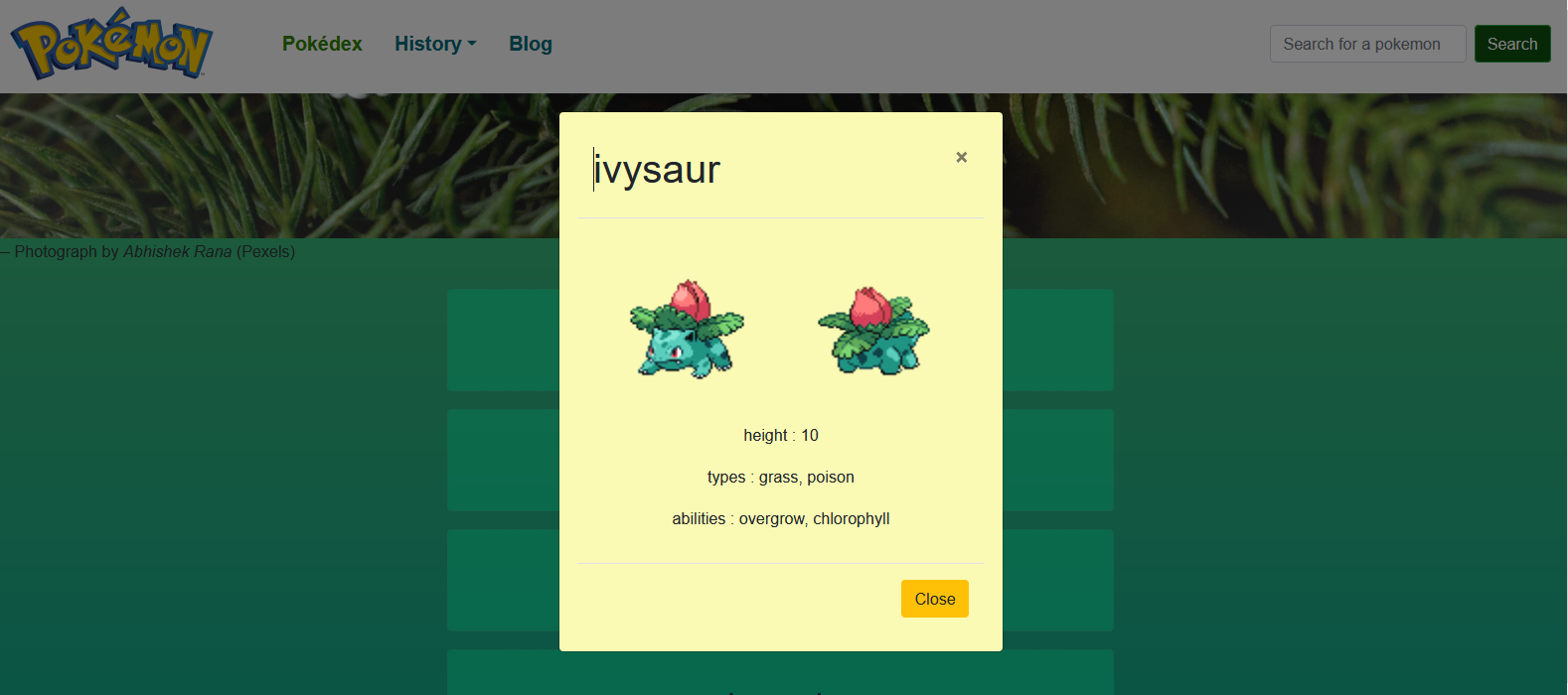GitHub - Kittekat14/simple-js-app: Here is my first app built with HTML ...