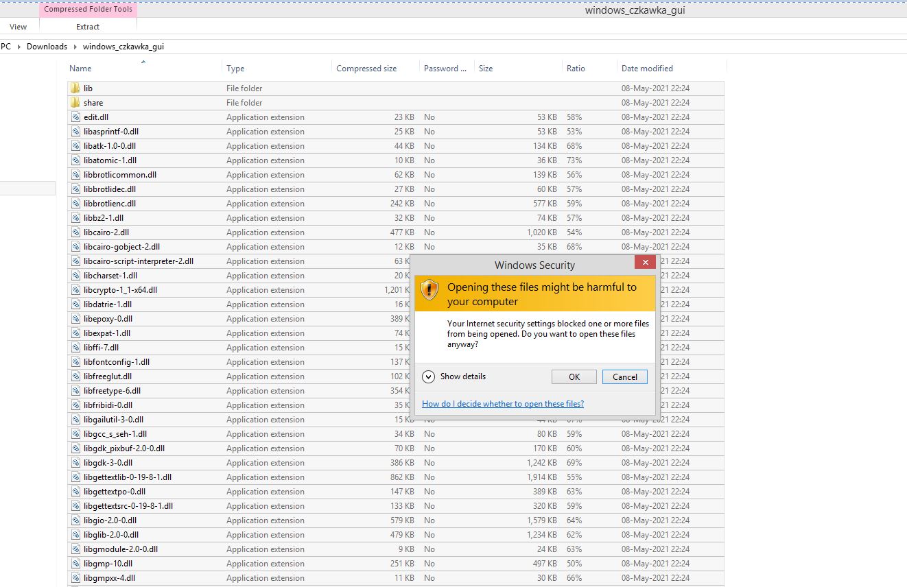 Windows Security error message · Issue #369 · qarmin/czkawka · GitHub