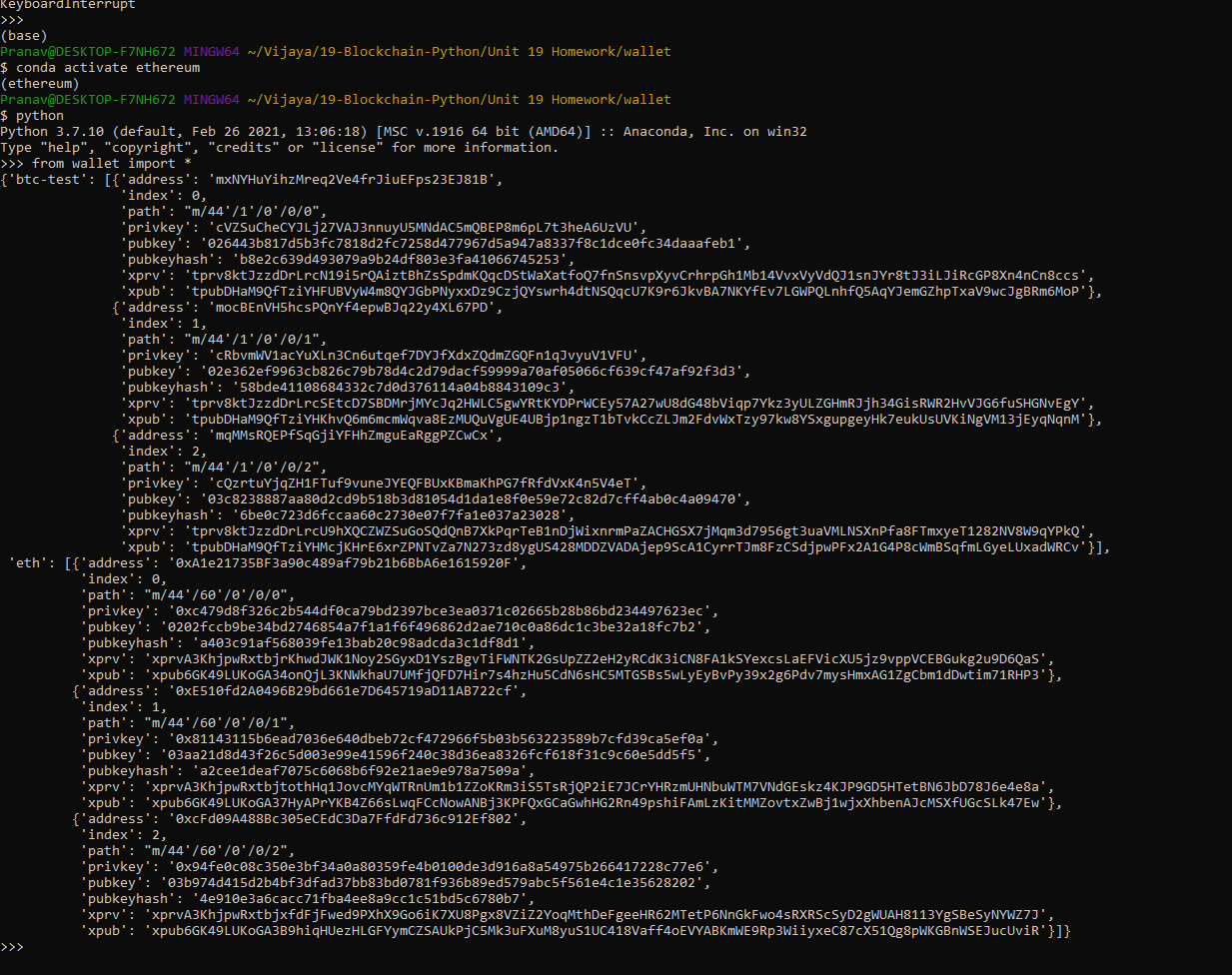 Screenshot python command